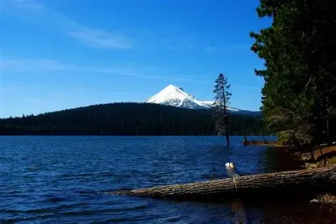 Lake of the Woods with snow-capped Mt. McLoughlin beyond the forest
