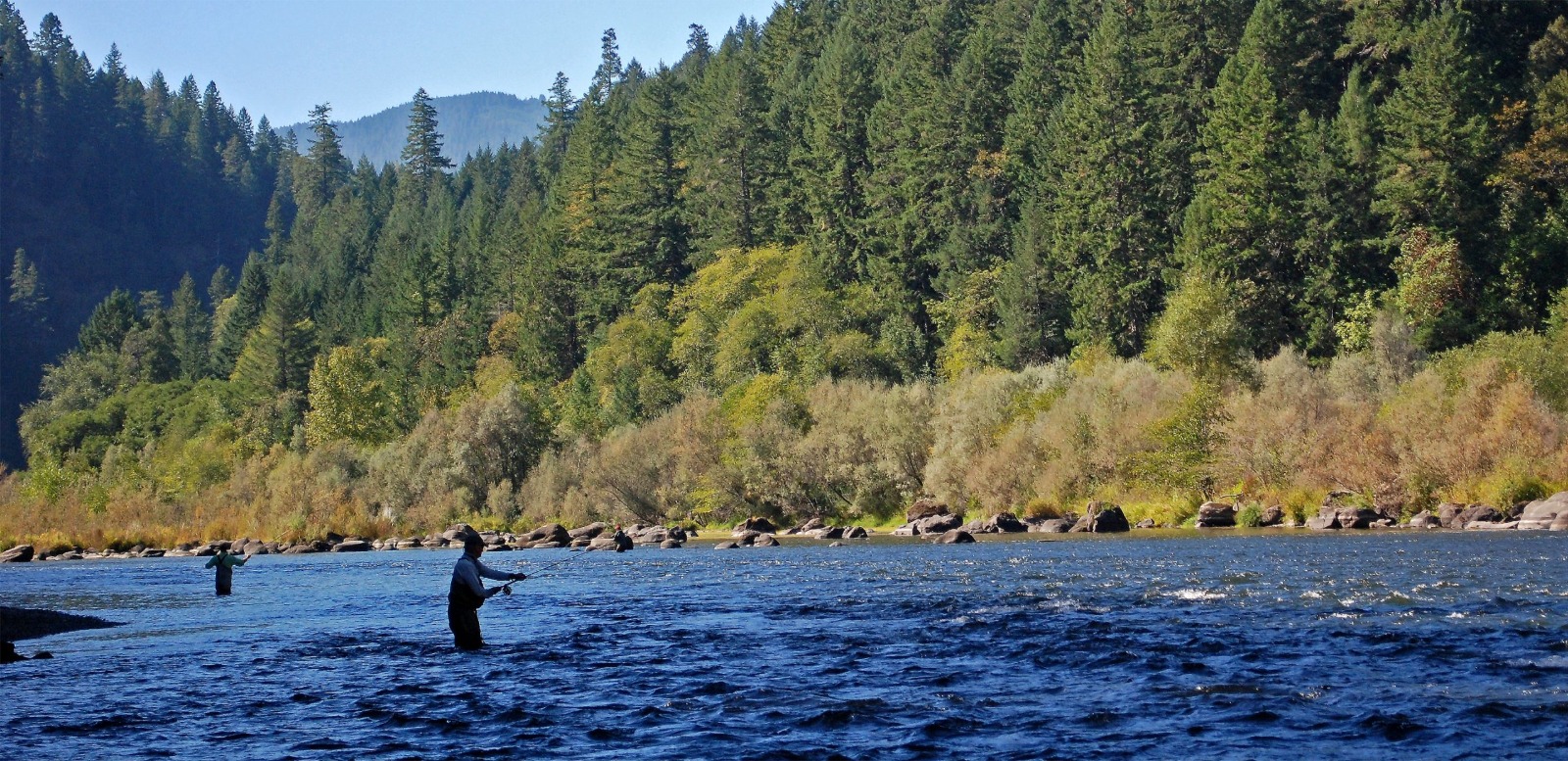 Anglers fly fishing in the Rogue River below forested hills