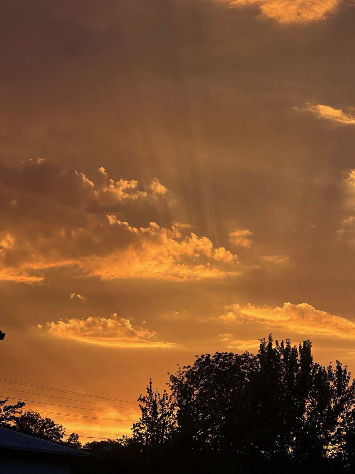 Golden sunset sky over the trees at Ashland RV Park