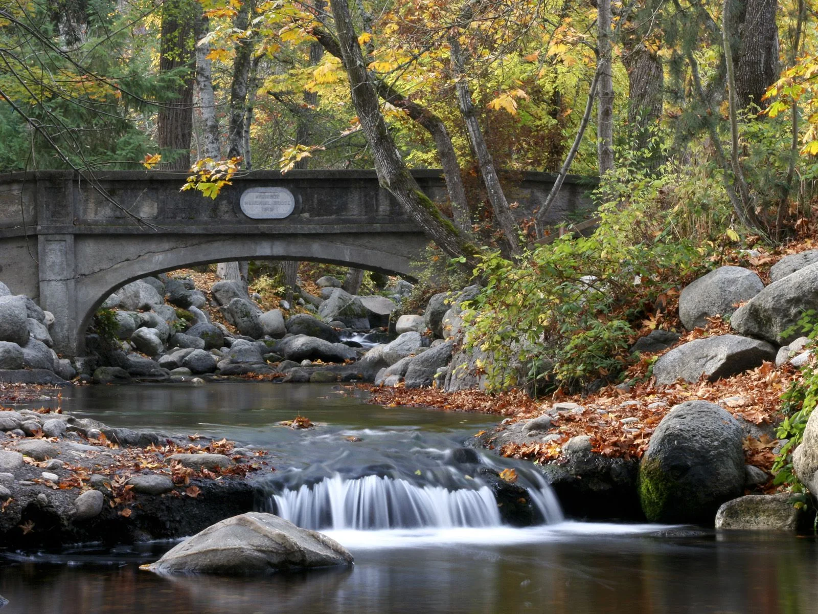Creek flowing through Historic Lithia Park in autumn
