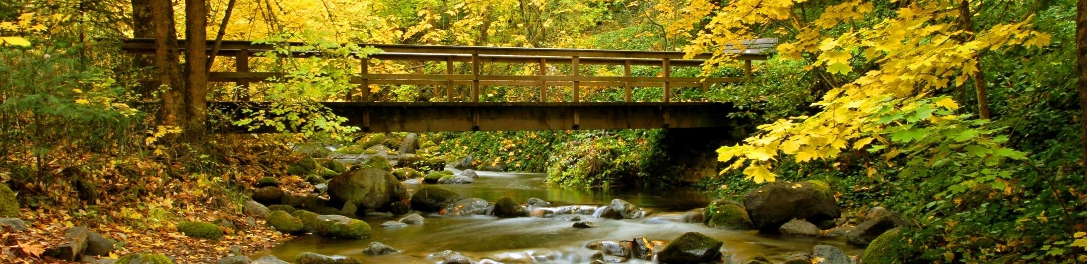 rv park and travel image