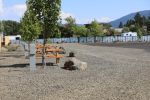 image of come enjoy the stay